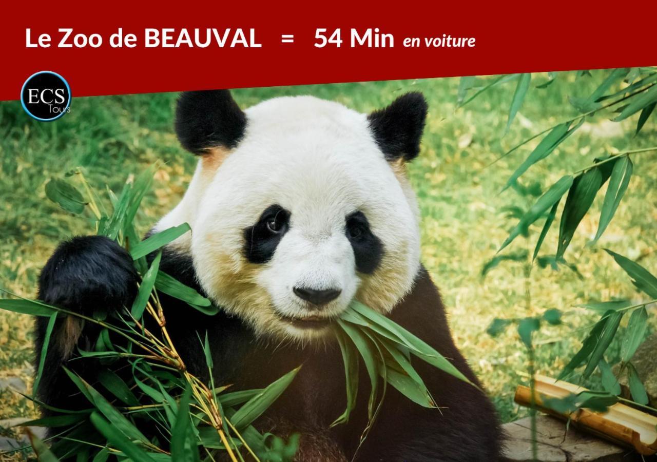 L'Appart - Au Coeur du Vieux Tours - Arrivée Autonome Extérieur photo